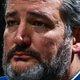 Senator Ted Cruz